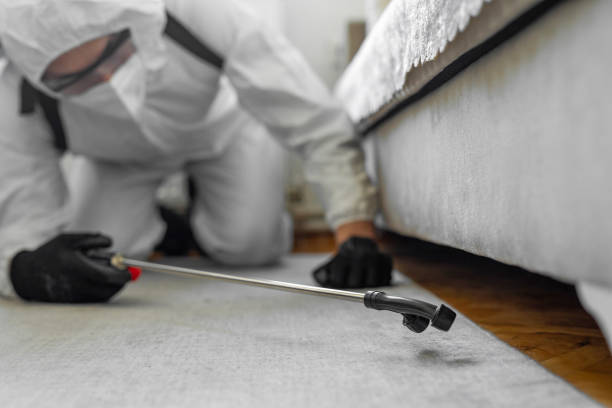 Professional Emergency Pest Control technician working in Hunters Creek Village, TX