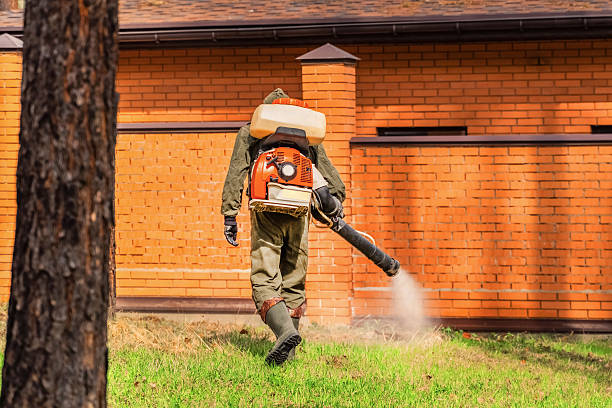 Trusted Mosquito Control service in Hunters Creek Village, TX - Nex Pest Control